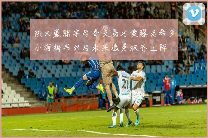 热火豪赌字母哥交易方案曝光希罗小海梅韦尔与未来选秀权齐上阵