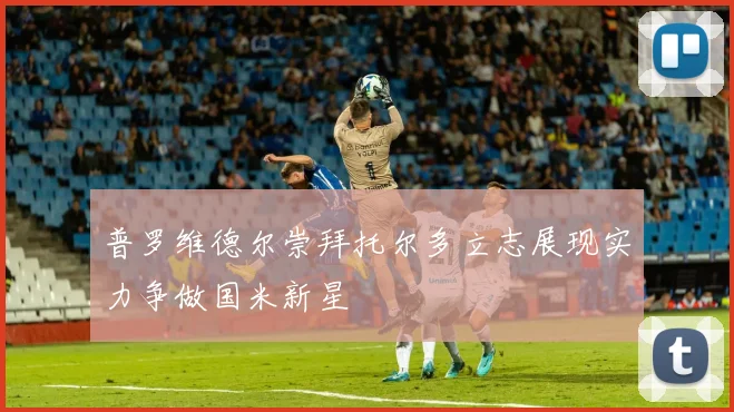 普罗维德尔崇拜托尔多立志展现实力争做国米新星