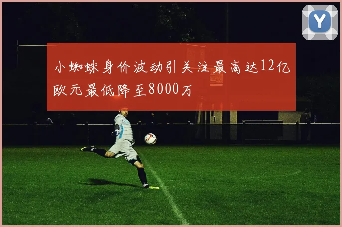 小蜘蛛身价波动引关注最高达12亿欧元最低降至8000万